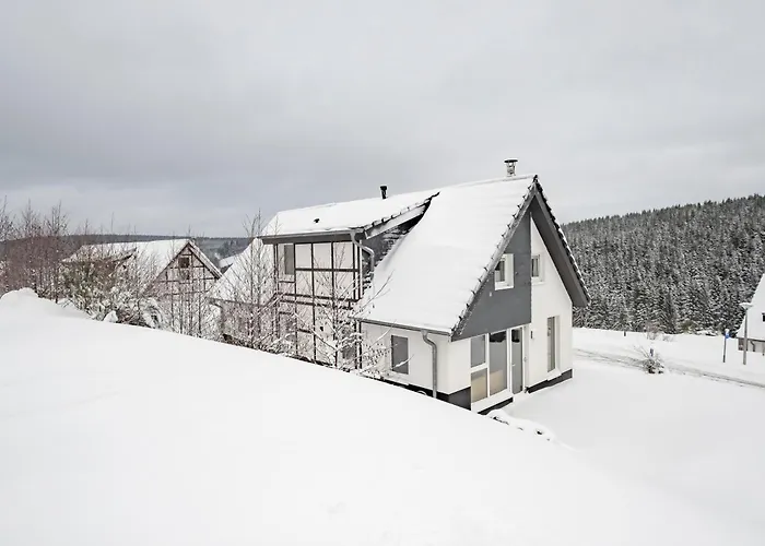 Landal Winterberg