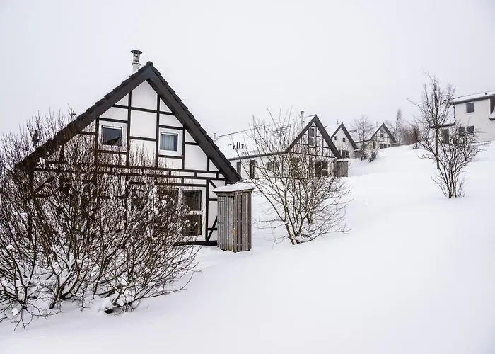 Landal Winterberg